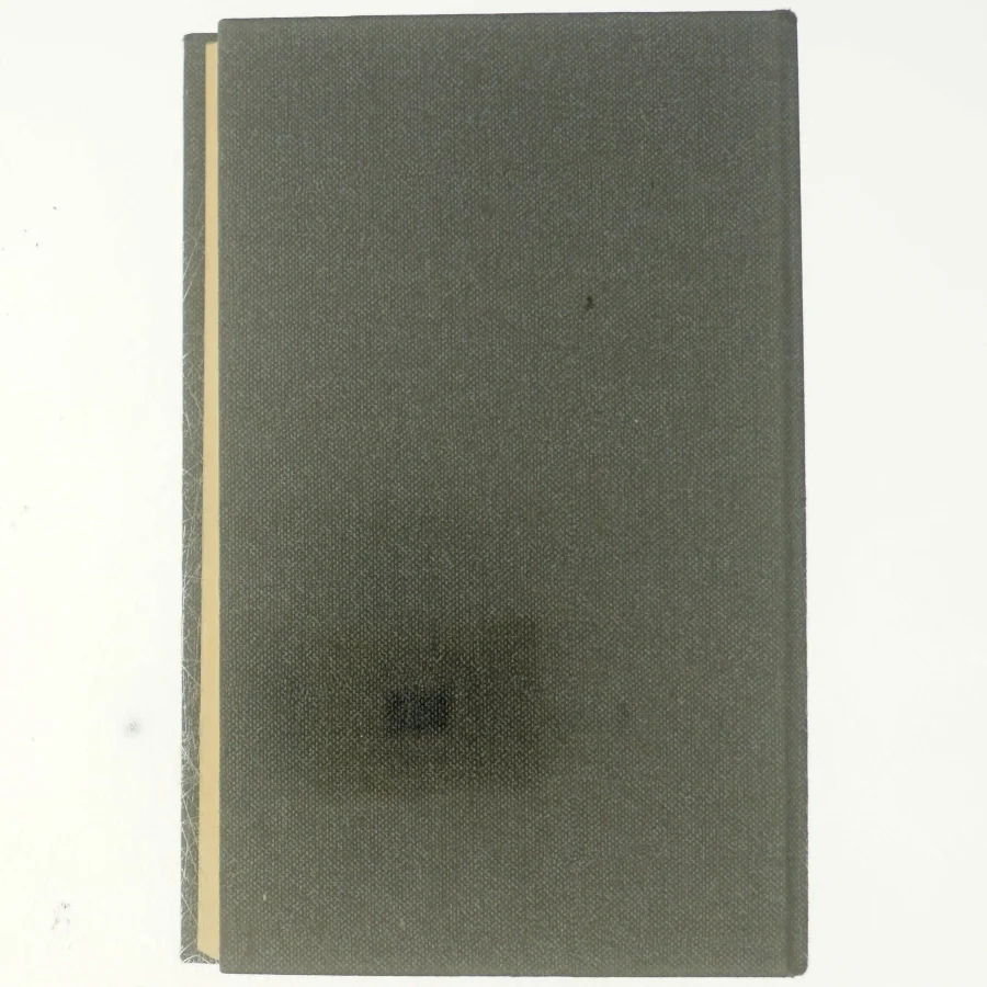 Roman om en forbrydelse, 2.bind, manden som gik op i røg