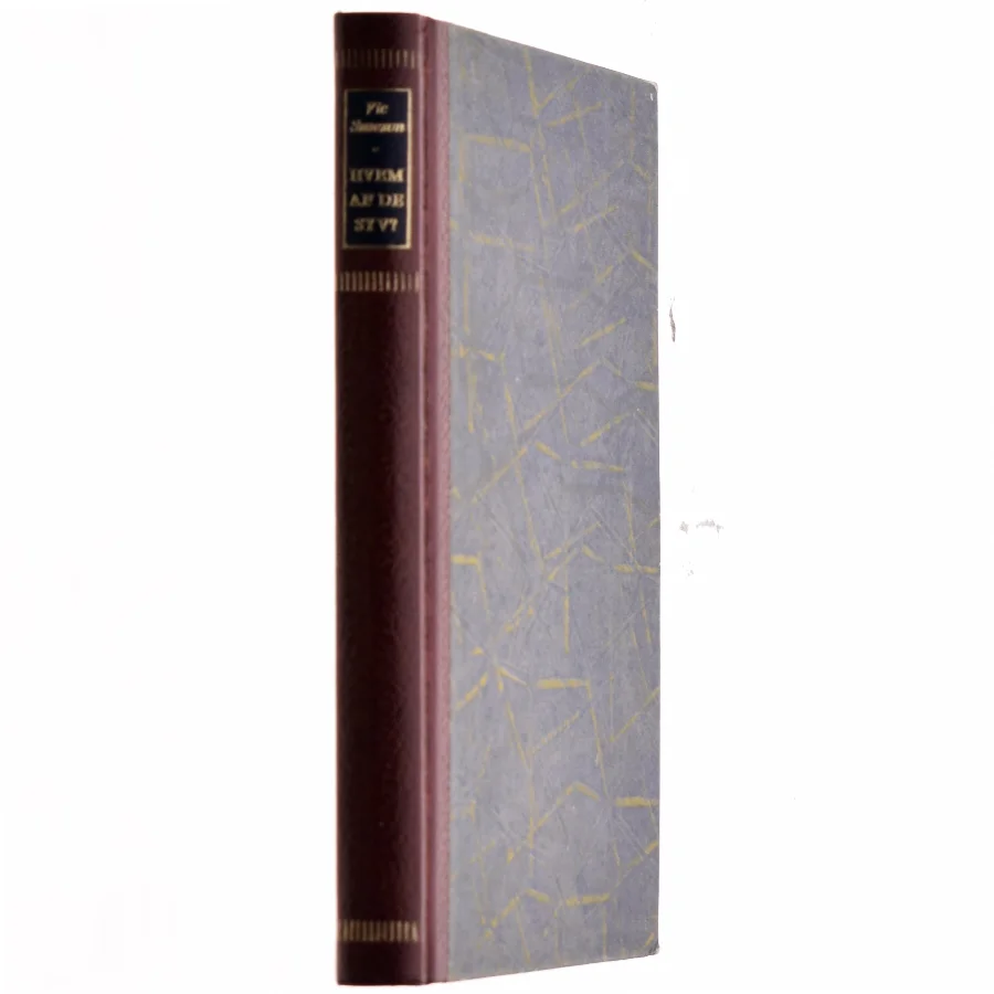 Hvem af de syv? af Vic Suneson