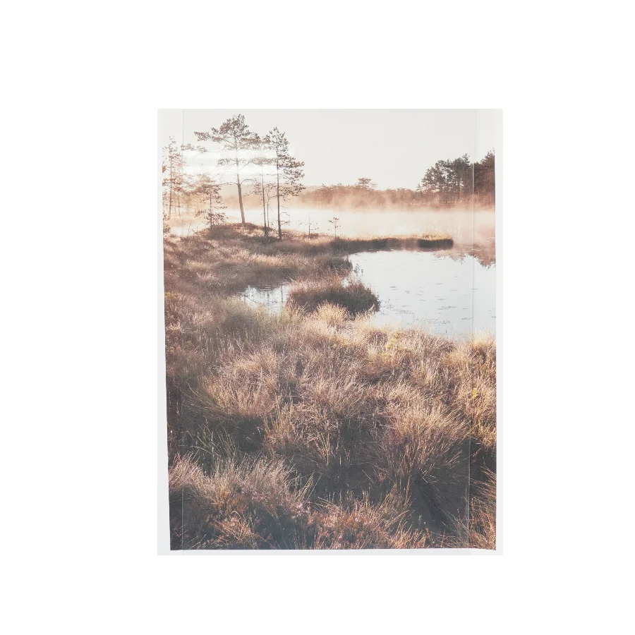 Landskabsplakater fra Desenio (str. 70x50 cm, 4 styk cm)