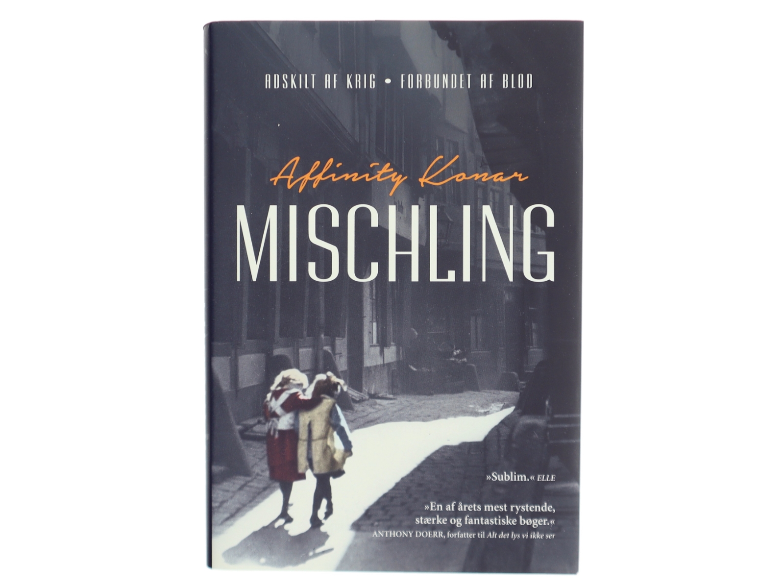 Mischiling af Affinity Konan (Bog)