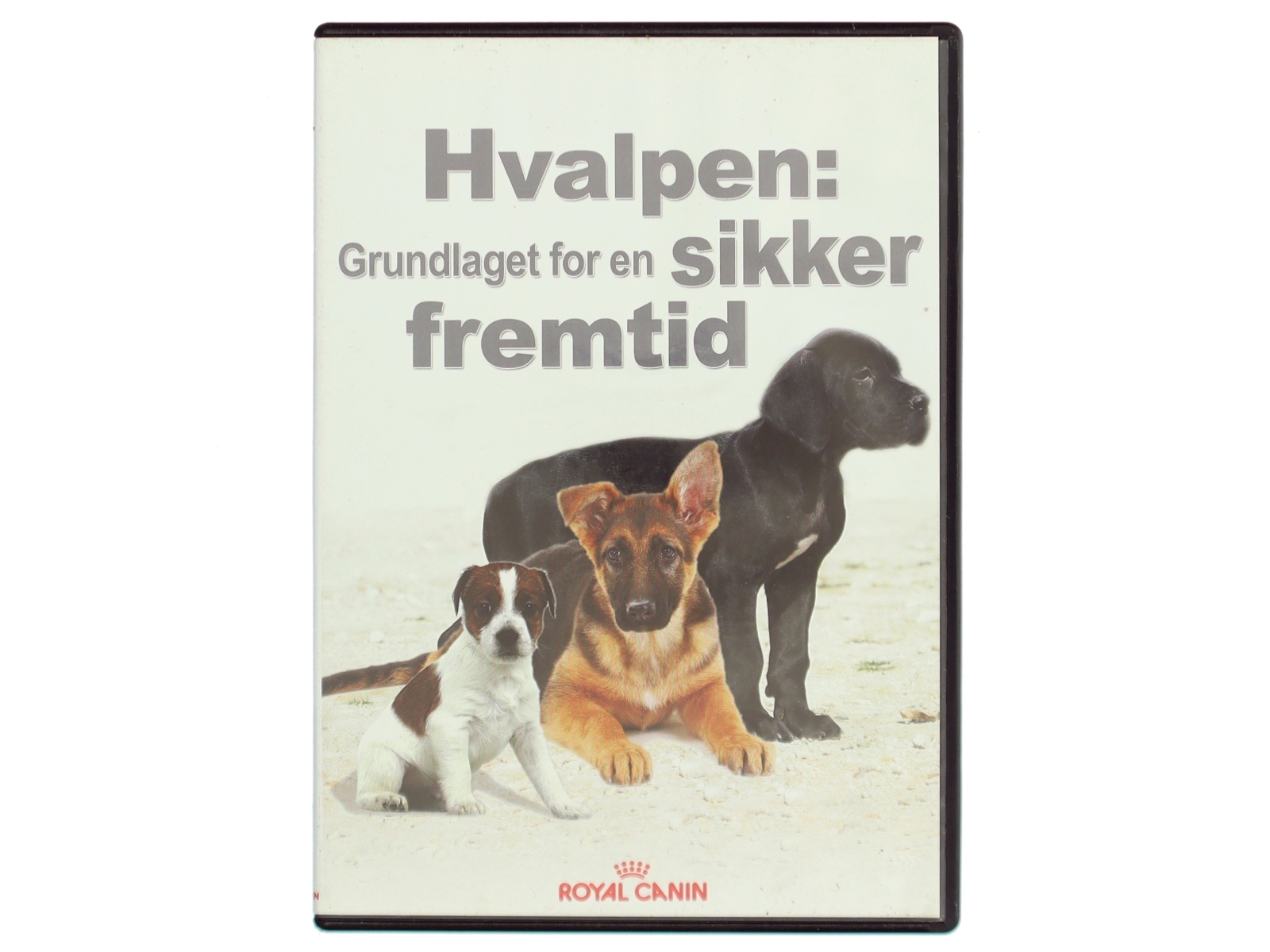 Hvalpen: grundlaget for en sikker fremtid