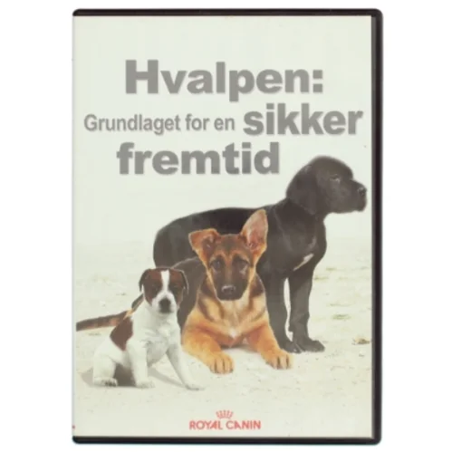 Hvalpen: grundlaget for en sikker fremtid