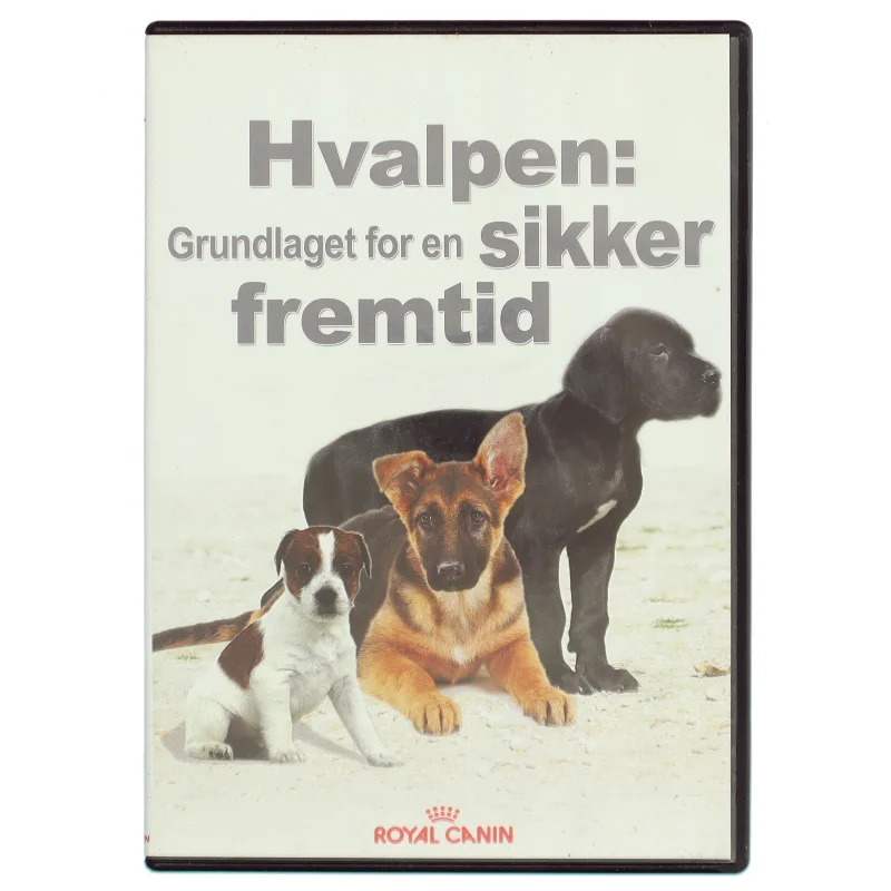 Hvalpen: grundlaget for en sikker fremtid