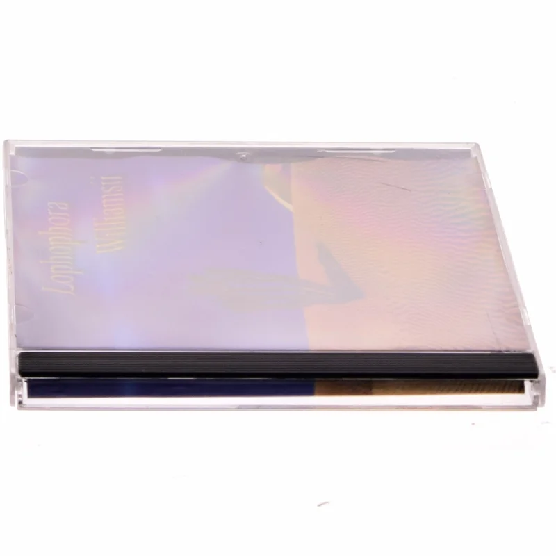 Lophophora - Williamsii