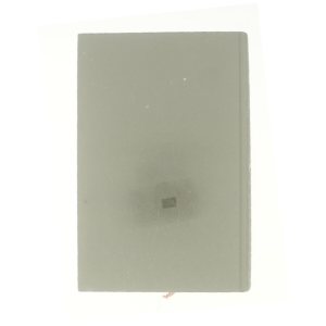 A son of a circus af John Irving