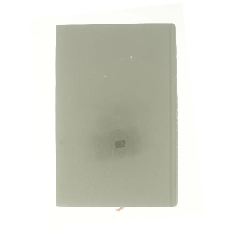 A son of a circus af John Irving