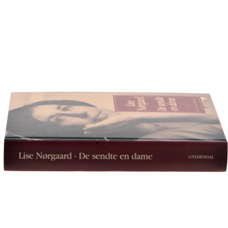 De sendte en dame af Lise Nørgaard (Bog)