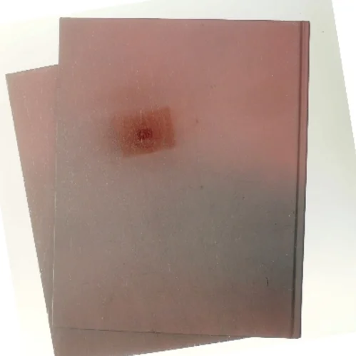 Firkløveret og ildsjælene af Nete Balslev Wingender (Bog)