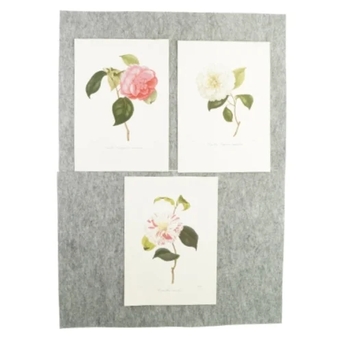 Plakater med blomstermotiv (3 styk)