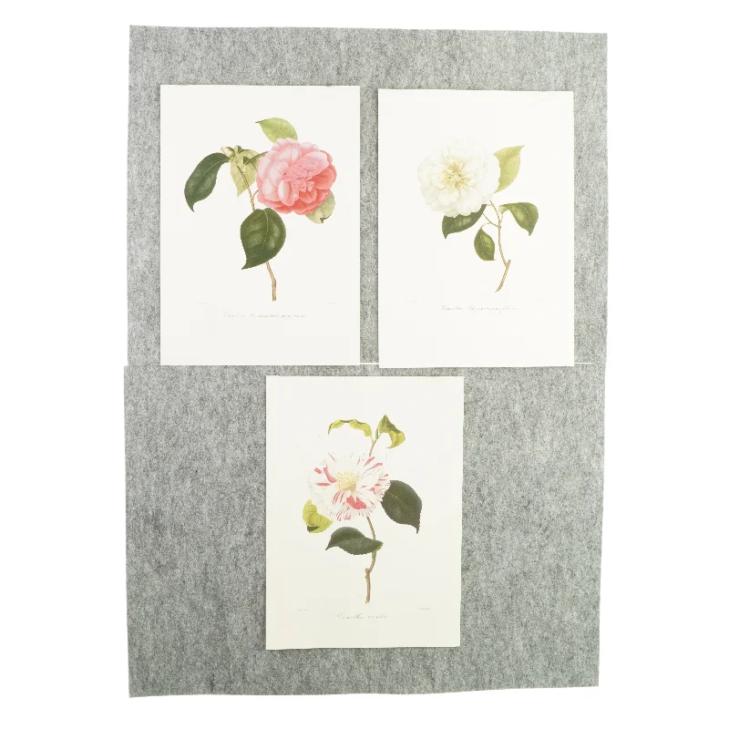 Plakater med blomstermotiv (3 styk)