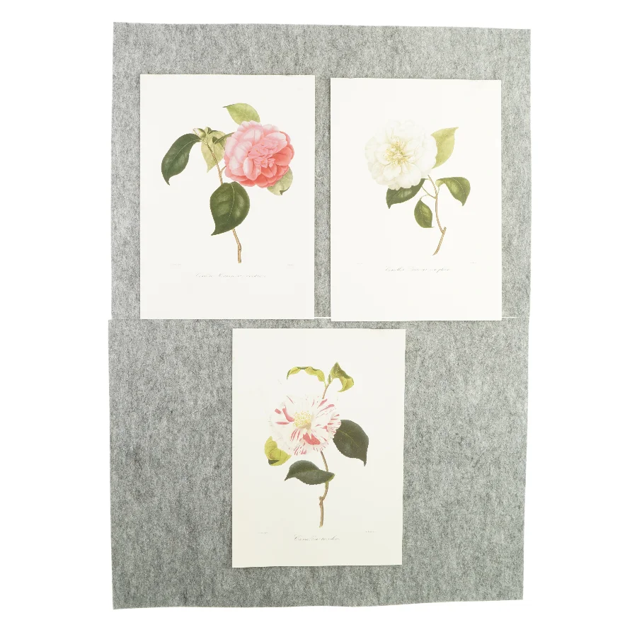 Plakater med blomstermotiv (3 styk)