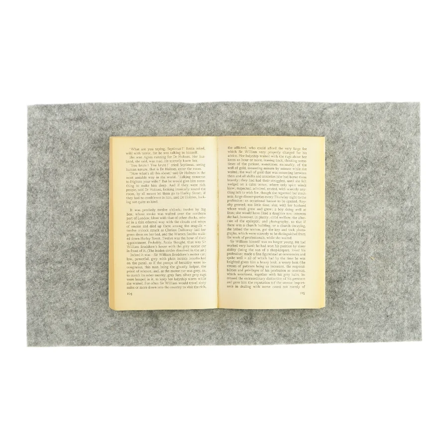 Mrs. Dalloway af Virginia Woolf (Bog) 