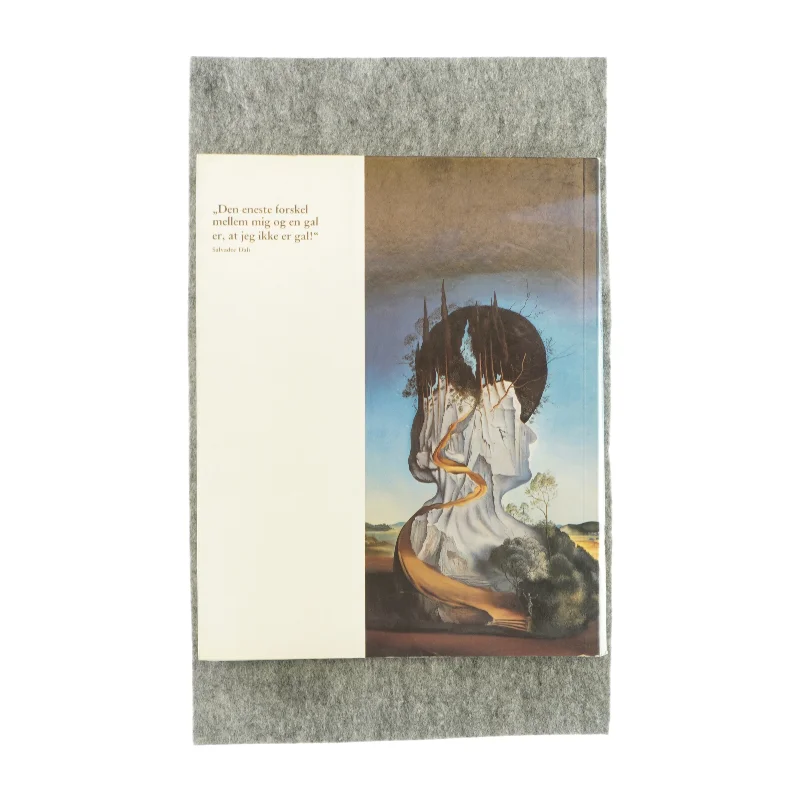 Salvador dali af Robert Descharnes (bog)