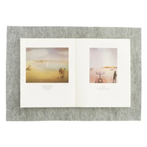 Salvador dali af Robert Descharnes (bog)