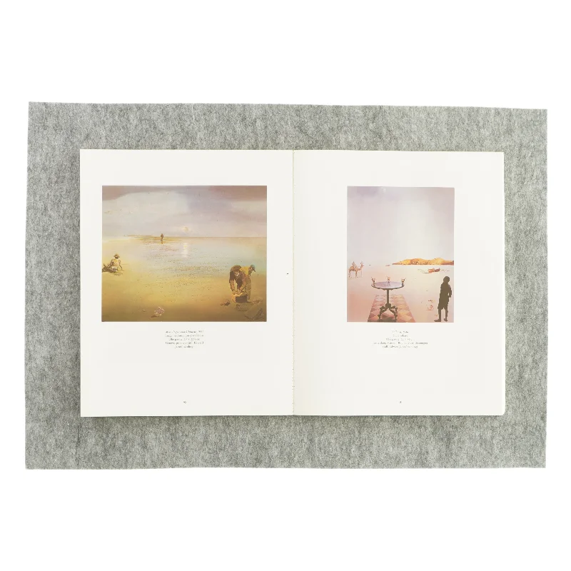 Salvador dali af Robert Descharnes (bog)