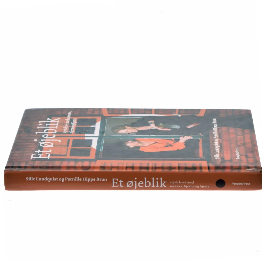 Et øjeblik : styrk livet med nærvær, hjerne og hjerte af Sille Lundquist (Bog)