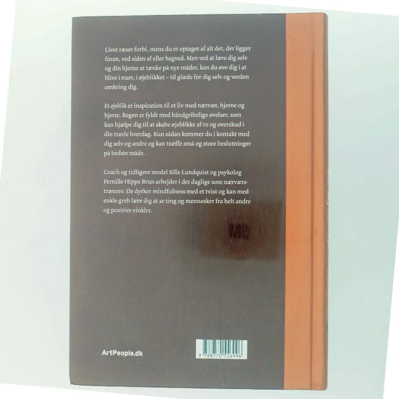 Et øjeblik : styrk livet med nærvær, hjerne og hjerte af Sille Lundquist (Bog)