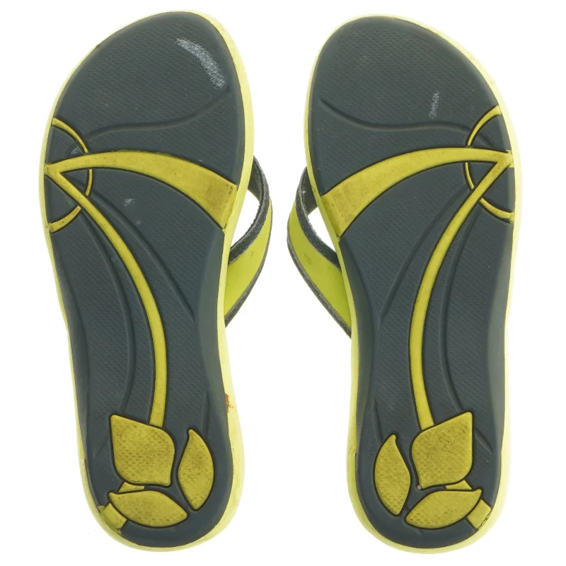 Reef klipklapper fra Reef (str. Længde. 24 cm)