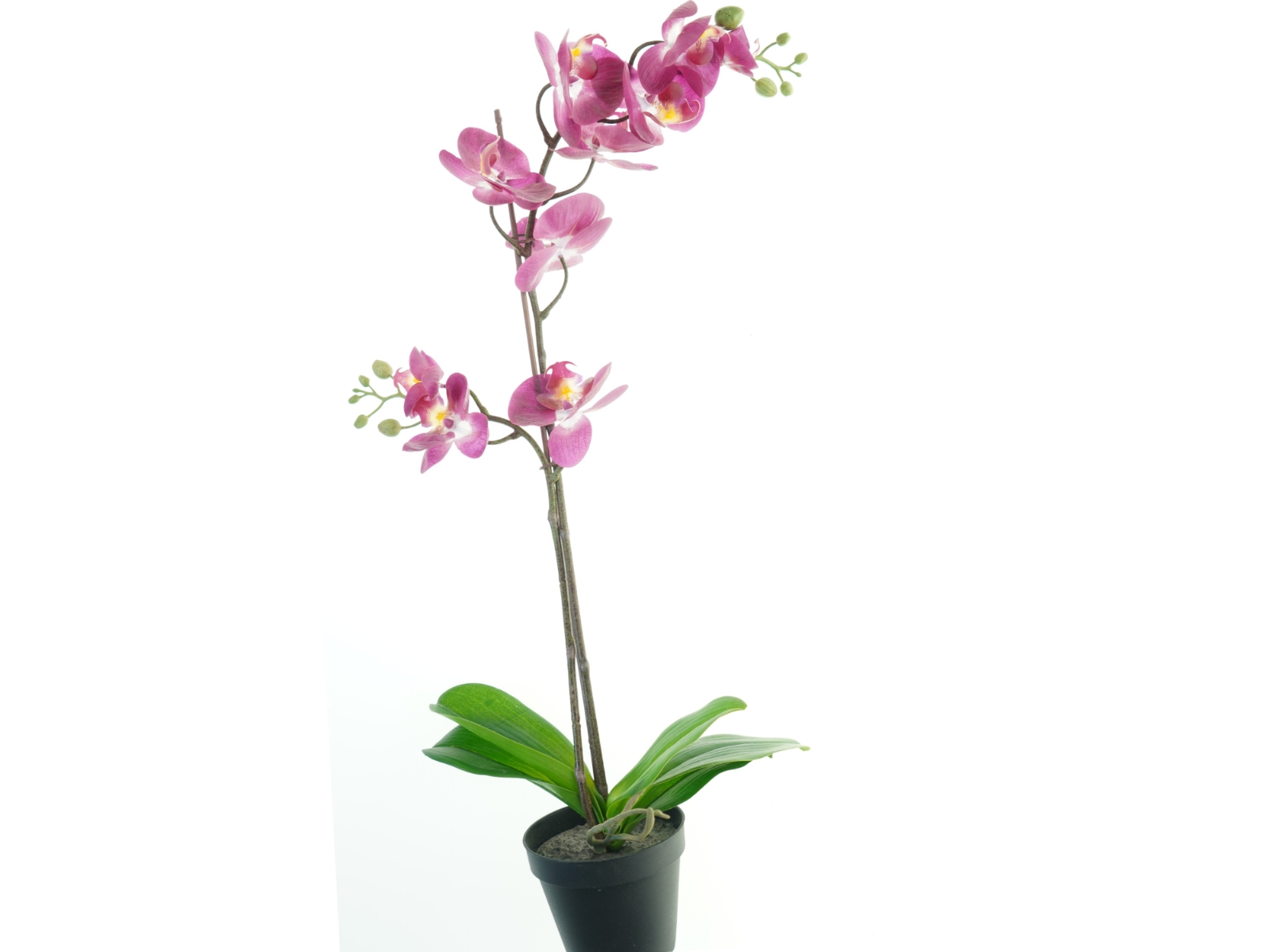 Kunstig orkidé i potte fra IKEA (str. 69 cm)