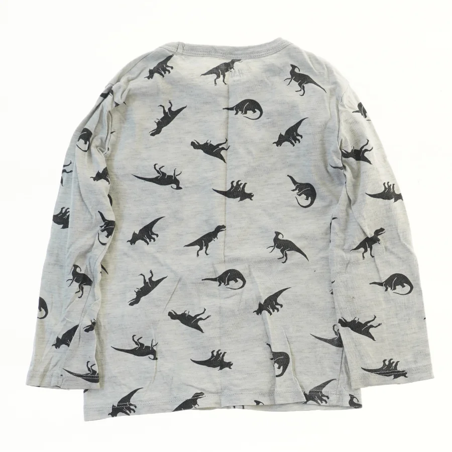 Langærmet bluse med dinosaurprint fra H&M (str. 98)