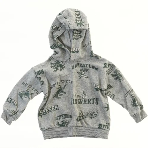 Grå Hættetrøje med Harry Potter Design fra H&M (str. 104)