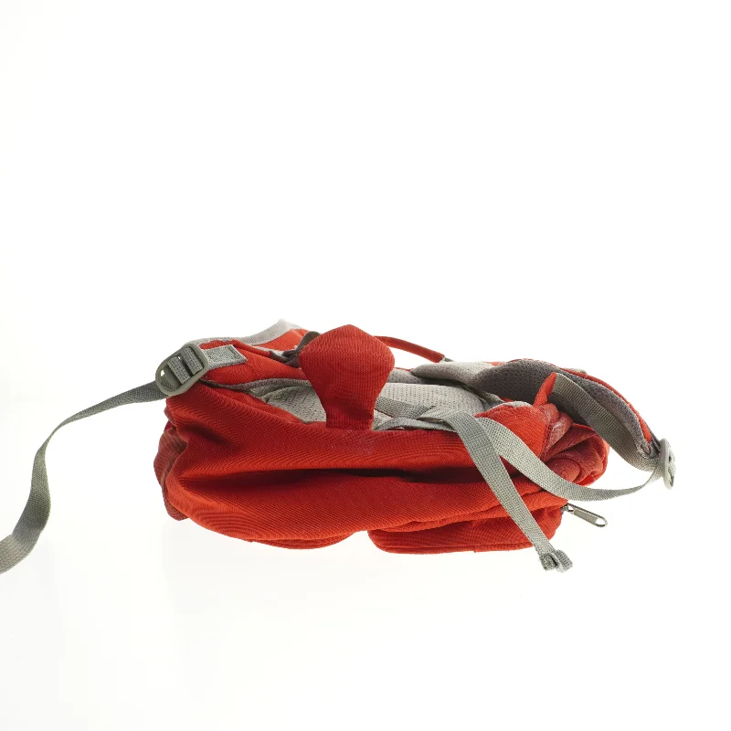 Børne rygsæk med dinosaur motiv fra Affen Zahn (str. 34x28x16 cm)