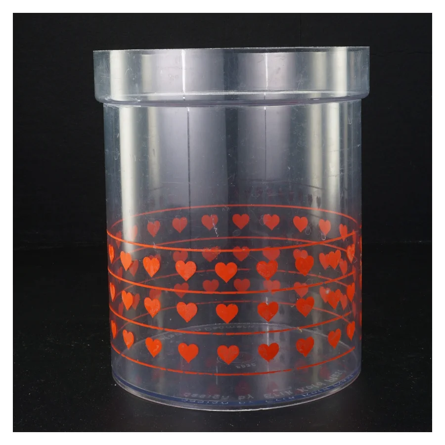 Plastik opbevaringsdåse (str. 21 x 18 cm)