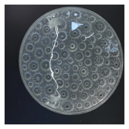 Stort glasfad med blomstermønster (str. Ø 35 cm)