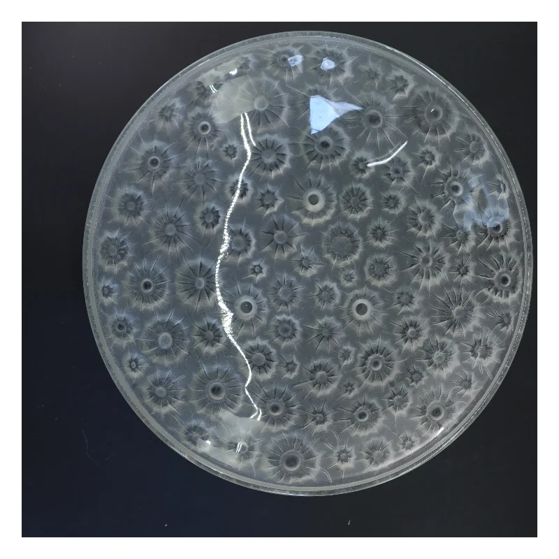 Stort glasfad med blomstermønster (str. Ø 35 cm)