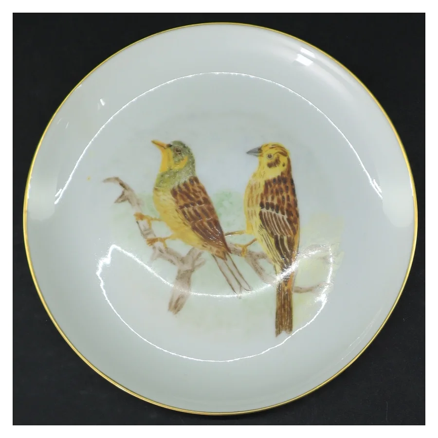 Dekorativ porcelænstallerken med fuglemotiv fra E. M. (str. Ø. 17 cm)
