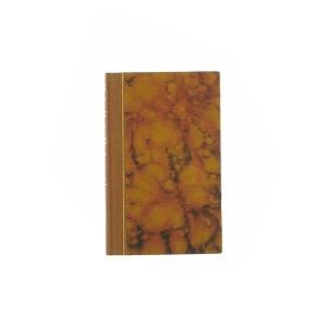 Professior i lyst af Philip Roth  fra bog