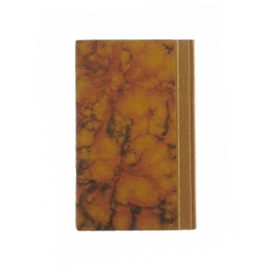 Professior i lyst af Philip Roth  fra bog