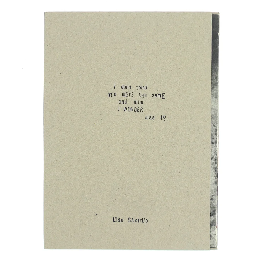 I don't think you were the same and now I wonder was I? af Lise Saxtrup (Bog)