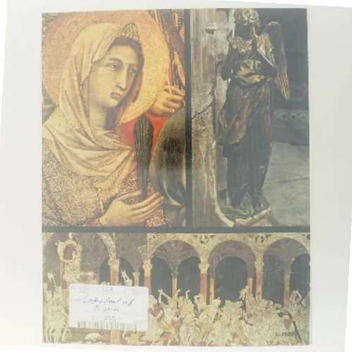 The Cathedral of Siena and the Cathedral Museum af Enzo Carli (Bog)