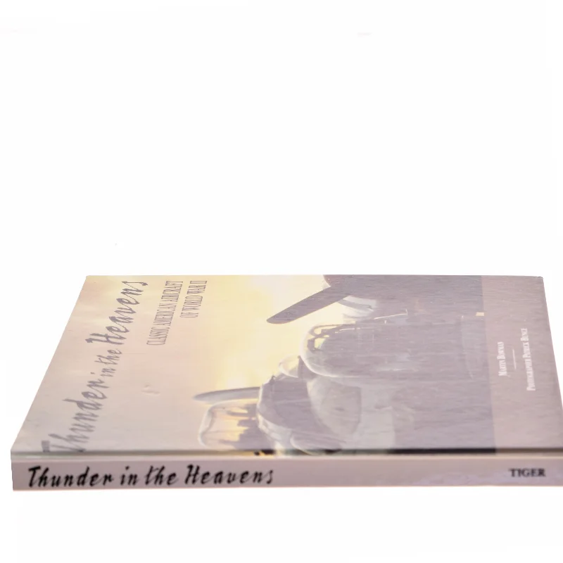 Thunder in the heavens : classic American aircraft of World War II (Bog)