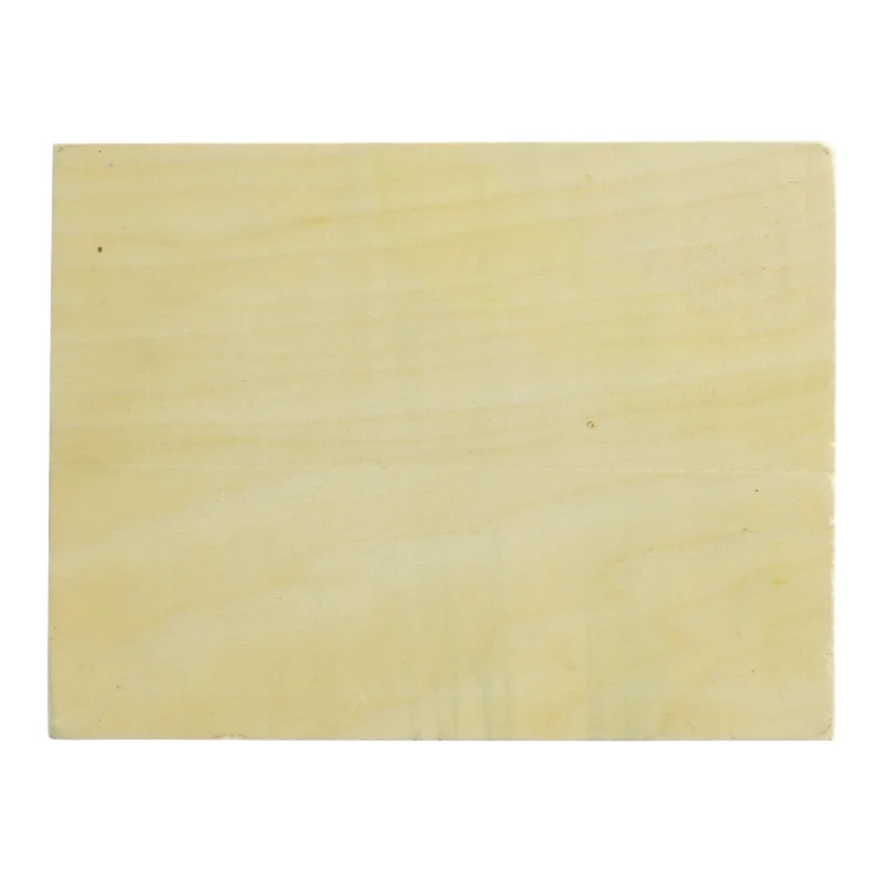 Træ puslespil med dinosaurmotiv fra Wild Republic (str. 22 x 17 cm)