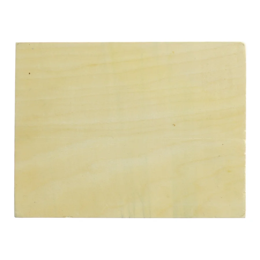 Træ puslespil med dinosaurmotiv fra Wild Republic (str. 22 x 17 cm)