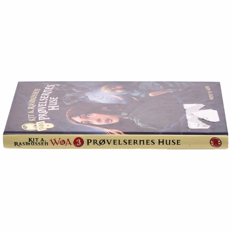 Gravens forbandelse af Kit Rasmussen (Bog)