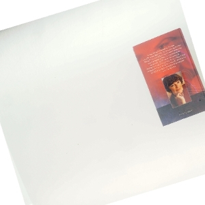 Kamæleonen af Jane Aamund (Bog)