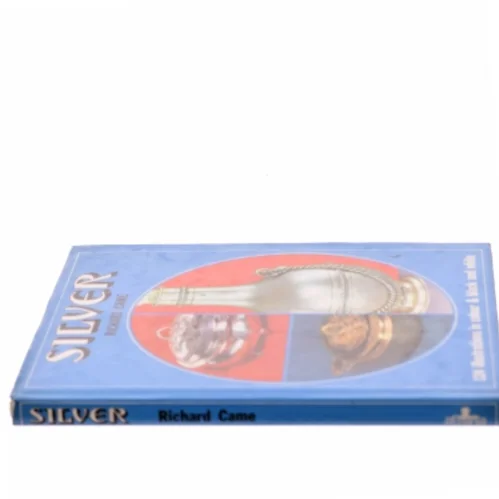 Silver af Richard Came (Bog)