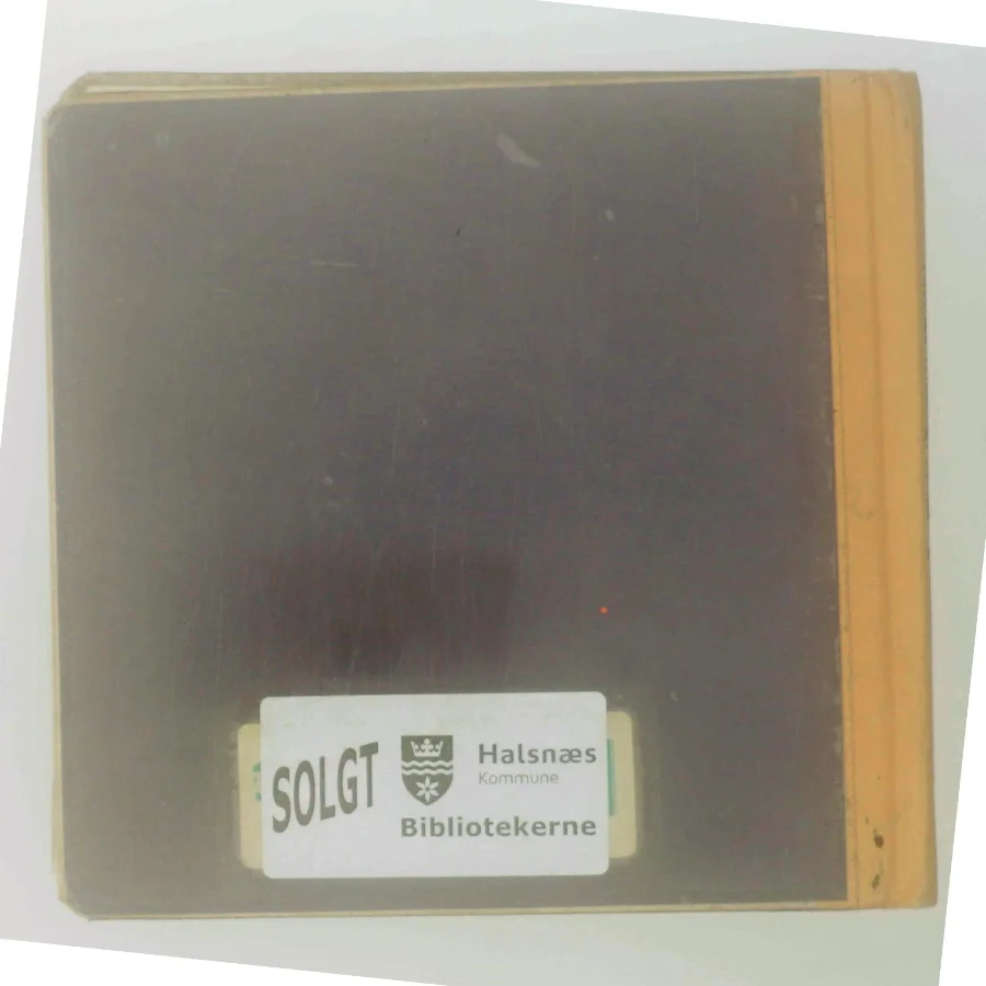 Bamse og Fiskeren af Thomas Winding (Bog)