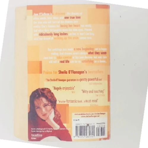 Dreaming of a Stranger af Sheila O'Flanagan (Bog)