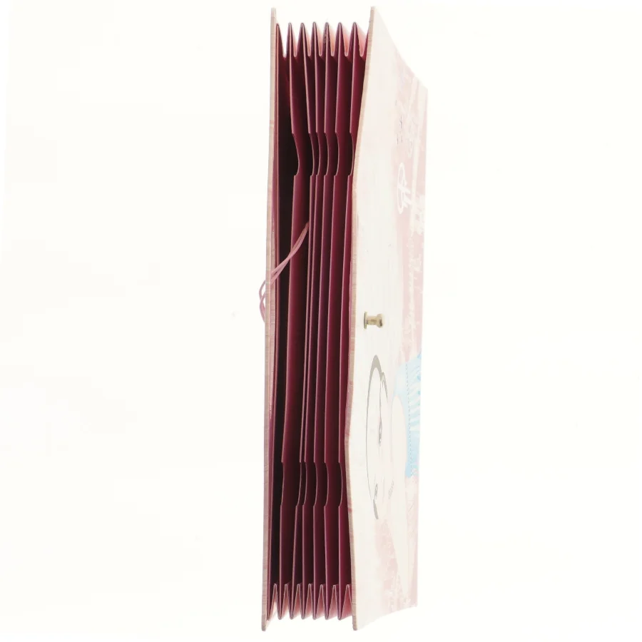 Pink fanebladsholder med illustration fra Top Model (str. 33x30 cm)
