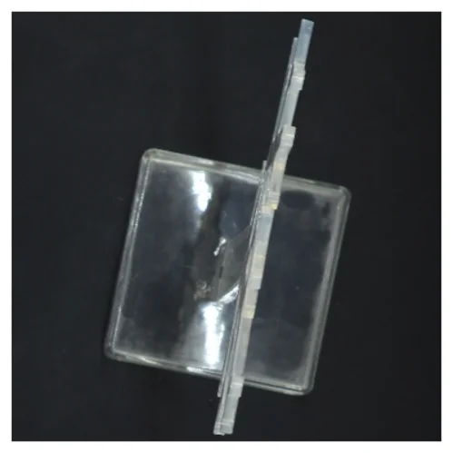 Transparent smykketræ (str. 30x10x10 cm)