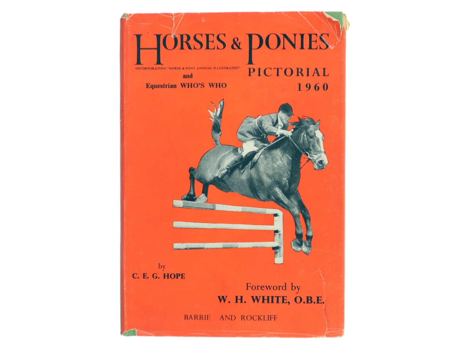 Horses & Ponies Pictorial af C. E. G. Hope (Bog)