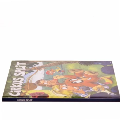 Cirkus Split af <Gitte Løkkegaard> (Bog)