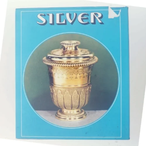 Silver af Richard Came (Bog)