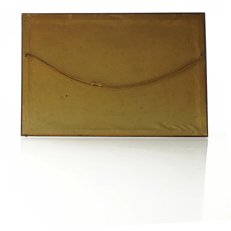 Indrammet billede af havlandskab