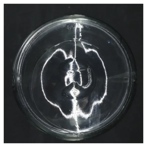 Vand karaffel fra Rosendahl (26 cm)