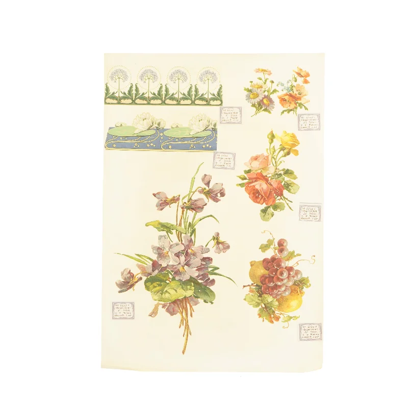 Botanisk plakat (str. 41 x 28,5 cm)